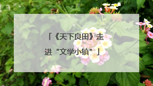 《天下良田》走进“文学小镇”