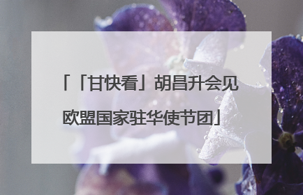 「甘快看」胡昌升会见欧盟国家驻华使节团