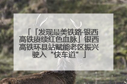 「发现最美铁路·银西高铁赓续红色血脉」银西高铁环县站赋能老区振兴驶入“快车道”