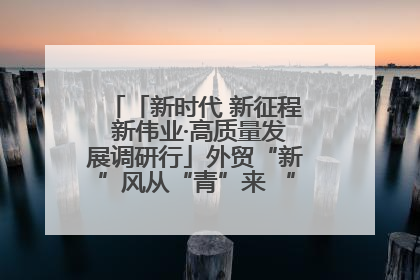 「新时代 新征程 新伟业·高质量发展调研行」外贸“新”风从“青”来 “双向奔赴”启新程