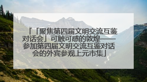 「聚焦第四届文明交流互鉴对话会」可触可感的敦煌——参加第四届文明交流互鉴对话会的外宾参观上元市集