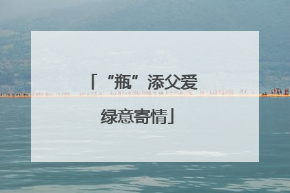 “瓶”添父爱 绿意寄情