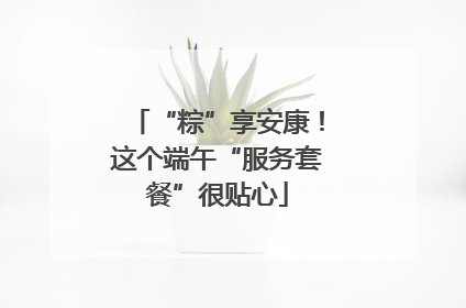 “粽”享安康！这个端午“服务套餐”很贴心