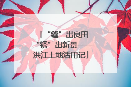 “缝”出良田 “锈”出新景——洪江土地活用记