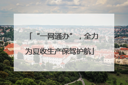 “一网通办”，全力为夏收生产保驾护航