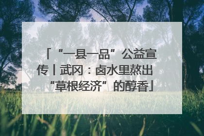 “一县一品”公益宣传丨武冈：卤水里熬出“草根经济”的醇香
