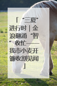 “三夏”进行时｜金浪翻涌“智”收忙——我市小麦开镰收割见闻