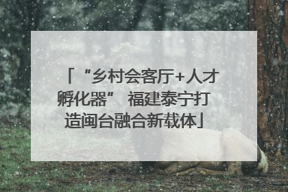 “乡村会客厅+人才孵化器” 福建泰宁打造闽台融合新载体