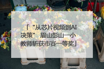 “从芯片视频到AI决策” 眉山彭山一小教师斩获市赛一等奖