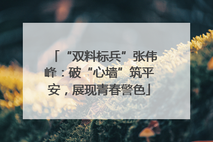 “双料标兵”张伟峰：破“心墙”筑平安，展现青春警色