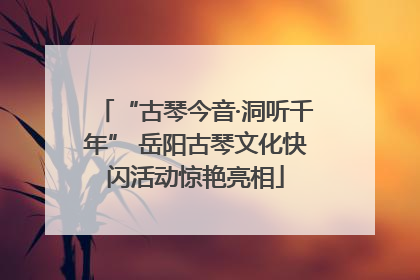 “古琴今音·洞听千年” 岳阳古琴文化快闪活动惊艳亮相