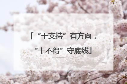 “十支持”有方向，“十不得”守底线
