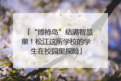 “博柿岛”结满智慧果！松江这所学校的学生在校园里探险