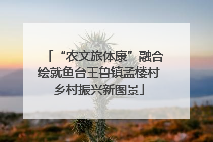 “农文旅体康”融合绘就鱼台王鲁镇孟楼村乡村振兴新图景