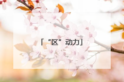 “区”动力