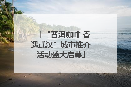 “普洱咖啡 香遇武汉”城市推介活动盛大启幕
