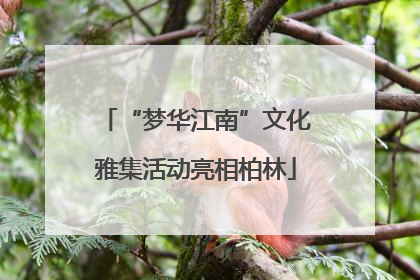 “梦华江南”文化雅集活动亮相柏林