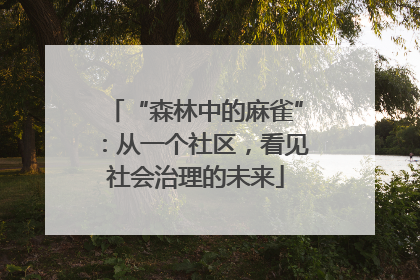 “森林中的麻雀”：从一个社区，看见社会治理的未来