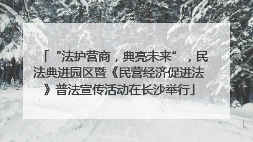 “法护营商，典亮未来”，民法典进园区暨《民营经济促进法》普法宣传活动在长沙举行