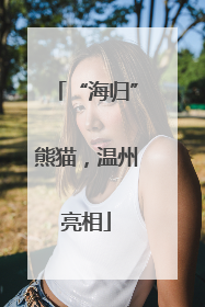 “海归”熊猫，温州亮相