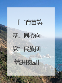 “育苗筑基、同心向党”民族团结进校园
