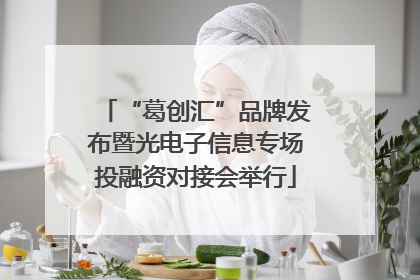 “葛创汇”品牌发布暨光电子信息专场投融资对接会举行