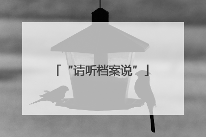 “请听档案说”