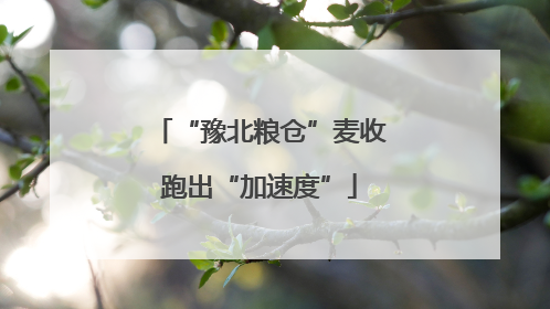 “豫北粮仓”麦收跑出“加速度”