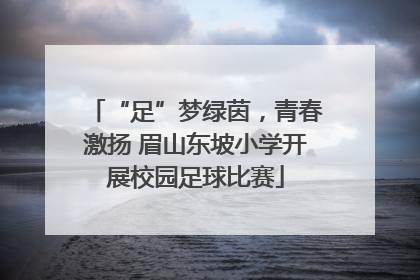 “足”梦绿茵，青春激扬 眉山东坡小学开展校园足球比赛