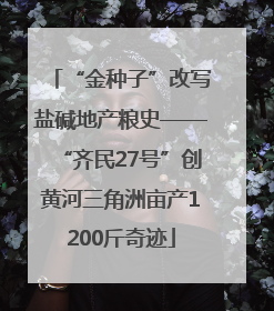 “金种子”改写盐碱地产粮史——“齐民27号”创黄河三角洲亩产1200斤奇迹