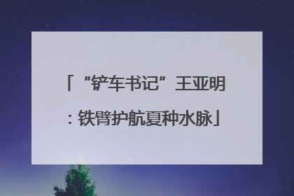 “铲车书记”王亚明：铁臂护航夏种水脉