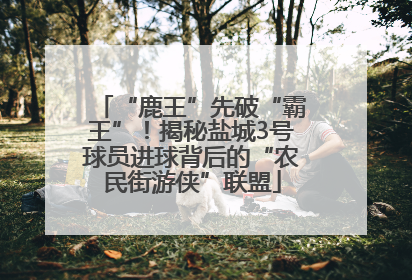 “鹿王”先破“霸王”！揭秘盐城3号球员进球背后的“农民街游侠”联盟