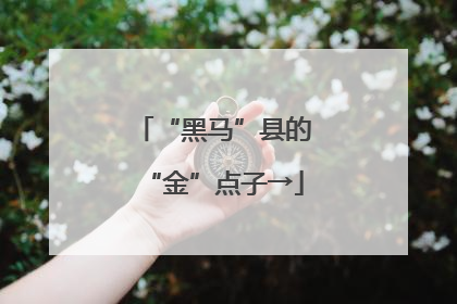 “黑马”县的“金”点子→