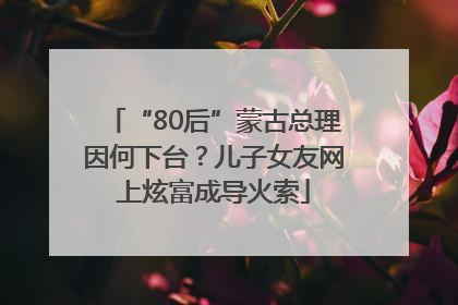 “80后”蒙古总理因何下台？儿子女友网上炫富成导火索