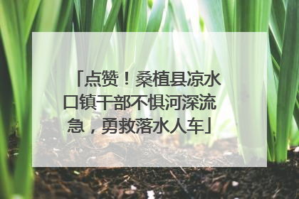 点赞！桑植县凉水口镇干部不惧河深流急，勇救落水人车