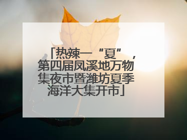 热辣一“夏”，第四届凤溪地万物集夜市暨潍坊夏季海洋大集开市