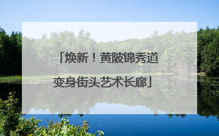 焕新！黄陂锦秀道变身街头艺术长廊