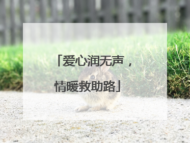 爱心润无声，情暖救助路