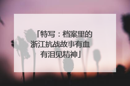 特写：档案里的浙江抗战故事有血有泪见精神