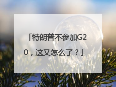 特朗普不参加G20，这又怎么了？