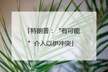 特朗普：“有可能”介入以伊冲突
