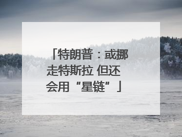 特朗普：或挪走特斯拉 但还会用“星链”