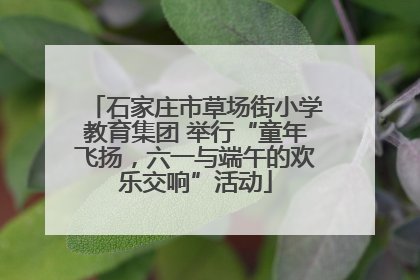 石家庄市草场街小学教育集团 举行“童年飞扬，六一与端午的欢乐交响”活动