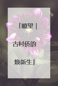 瞭望｜古村侨韵焕新生