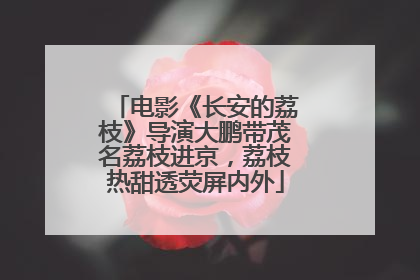 电影《长安的荔枝》导演大鹏带茂名荔枝进京，荔枝热甜透荧屏内外
