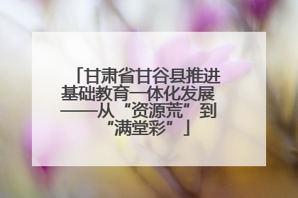 甘肃省甘谷县推进基础教育一体化发展——从“资源荒”到“满堂彩”