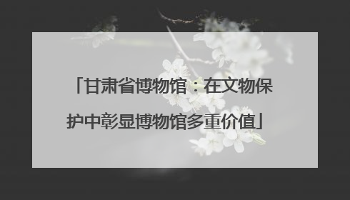 甘肃省博物馆：在文物保护中彰显博物馆多重价值