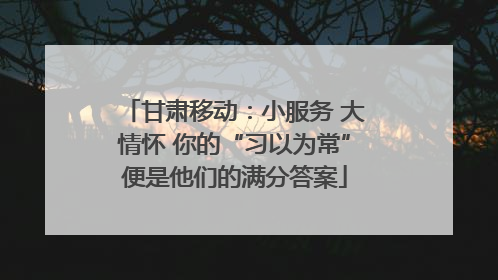 甘肃移动：小服务 大情怀 你的“习以为常”便是他们的满分答案