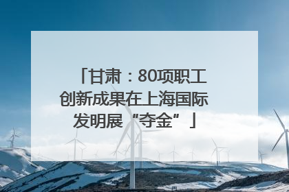甘肃：80项职工创新成果在上海国际发明展“夺金”