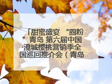 甜蜜盛宴 “圈粉”青岛 第六届中国·澄城樱桃营销季全国巡回推介会（青岛站）成功举办